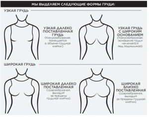 Определить свой тип груди